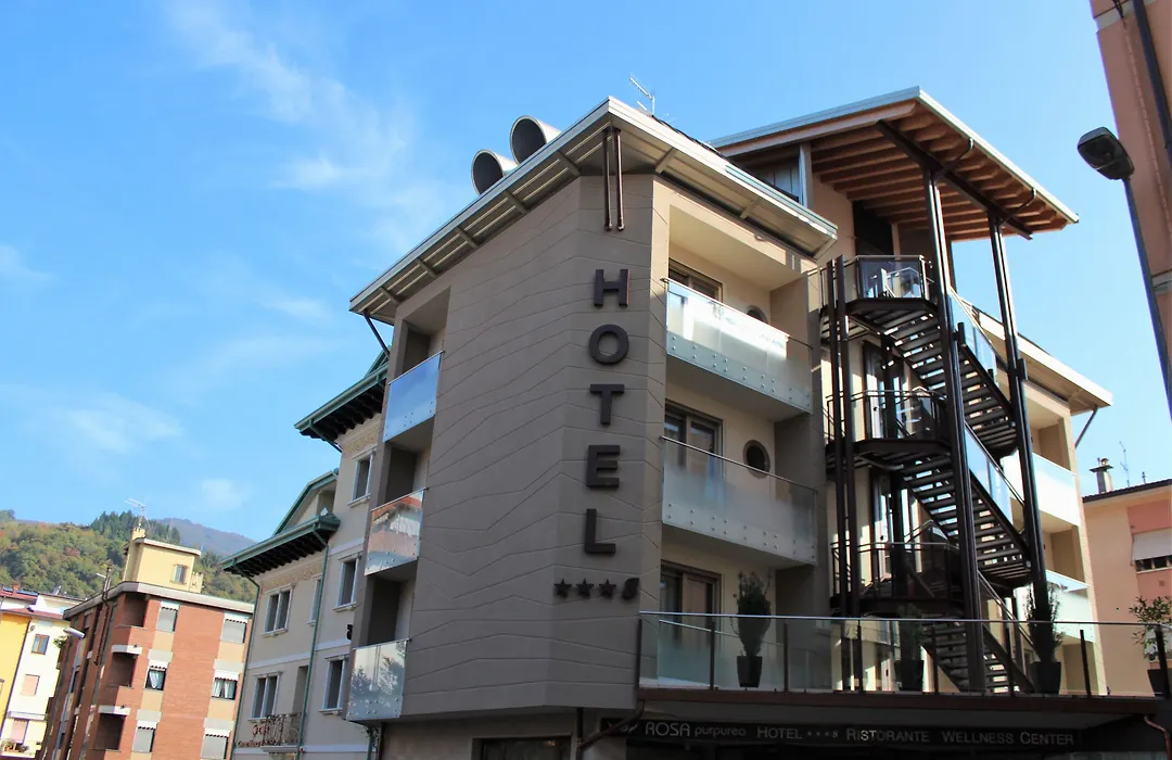 Hotel Rosa Purpurea-1